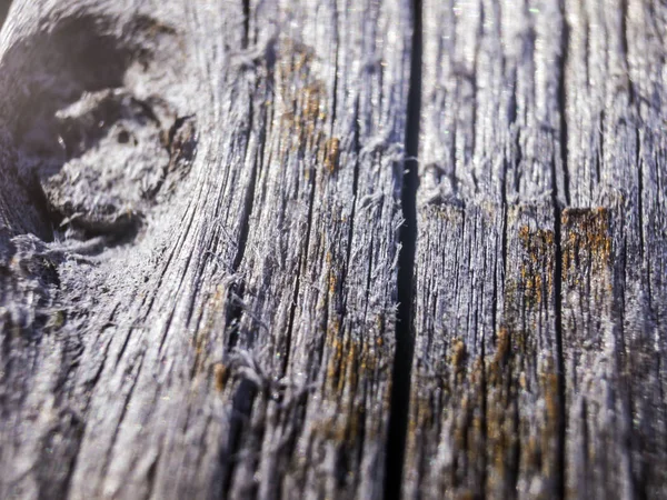 hacimsel doku nesneleri