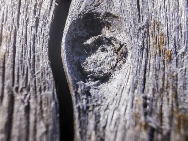 hacimsel doku nesneleri