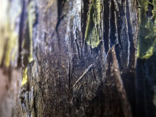 hacimsel doku nesneleri