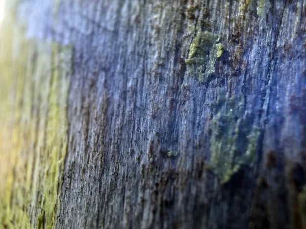 hacimsel doku nesneleri