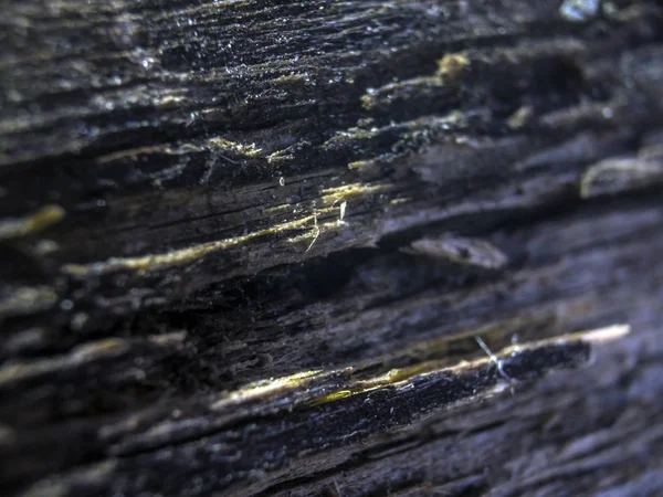 hacimsel doku nesneleri