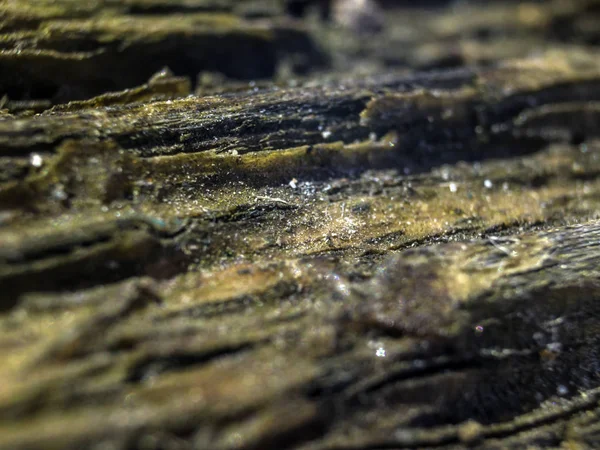 hacimsel doku nesneleri