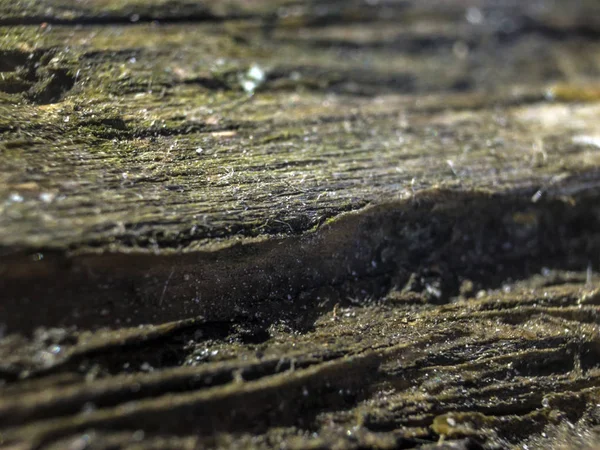 hacimsel doku nesneleri