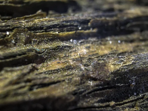 hacimsel doku nesneleri