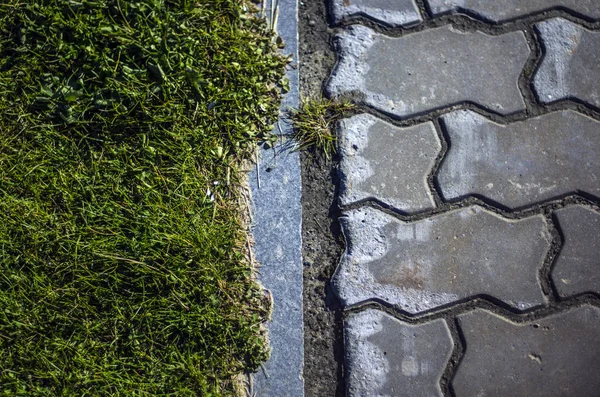 hacimsel doku nesneleri