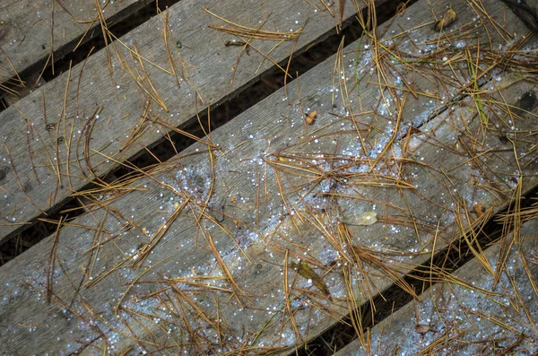 hacimsel doku nesneleri