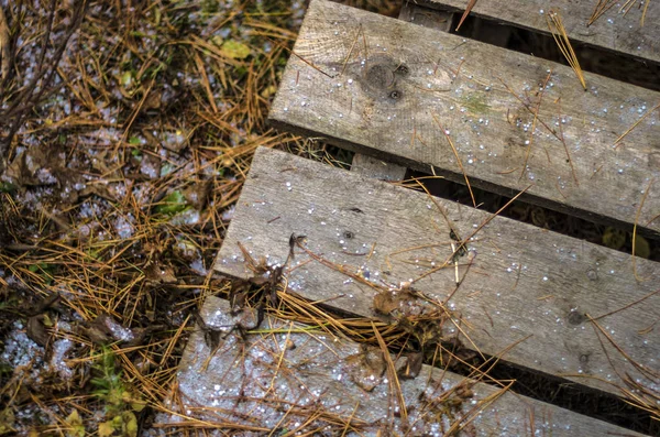 hacimsel doku nesneleri