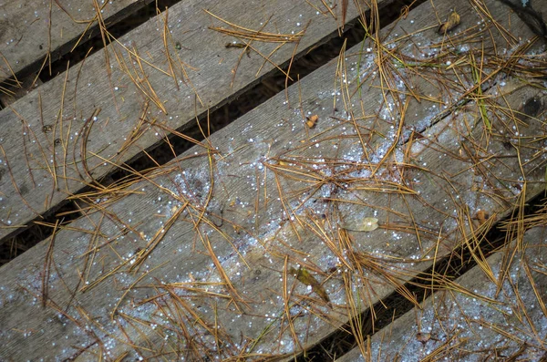 hacimsel doku nesneleri