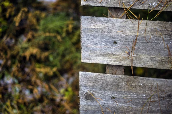 hacimsel doku nesneleri