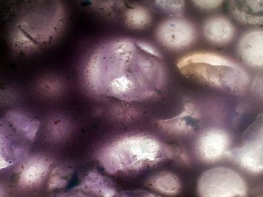 Gliserin ve su ile deneyler