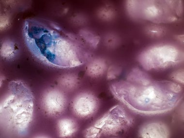 Gliserin ve su ile deneyler