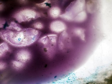 Gliserin ve su ile deneyler