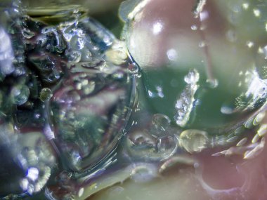 Gliserin ve su ile deneyler