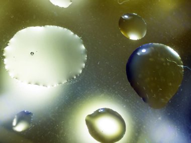 Gliserin ve su ile deneyler