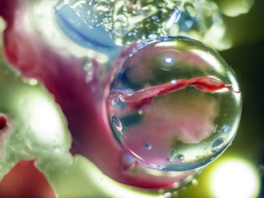 Gliserin ve su ile deneyler