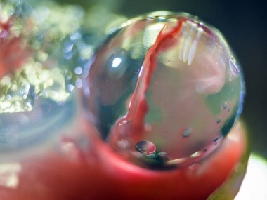 Gliserin ve su ile deneyler