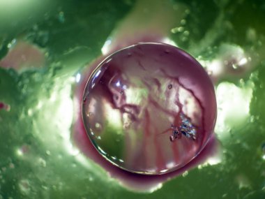 Gliserin ve su ile deneyler