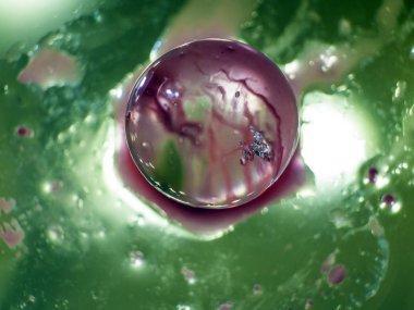 Gliserin ve su ile deneyler