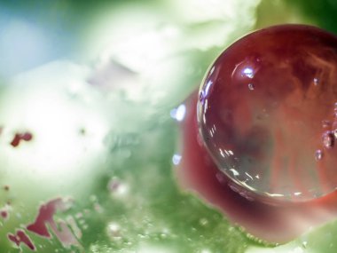 Gliserin ve su ile deneyler