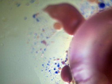 Gliserin ve su ile deneyler