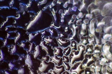 Gliserin ve su ile deneyler