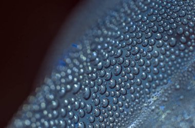 Gliserin ve su ile deneyler