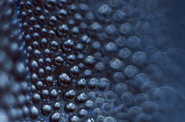 Gliserin ve su ile deneyler