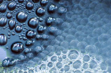 Gliserin ve su ile deneyler