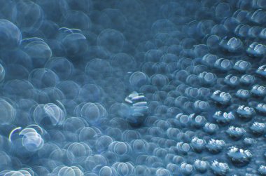 Gliserin ve su ile deneyler