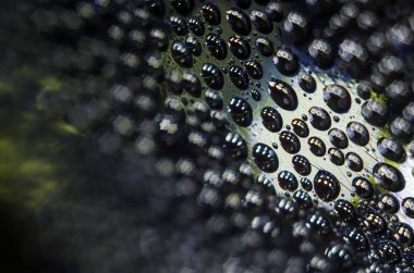 Gliserin ve su ile deneyler