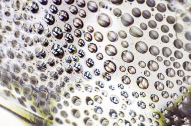 Gliserin ve su ile deneyler