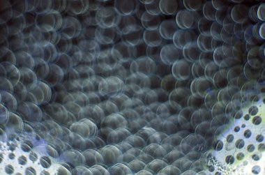 Gliserin ve su ile deneyler