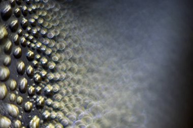 Gliserin ve su ile deneyler