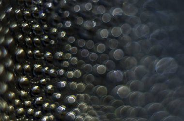 Gliserin ve su ile deneyler