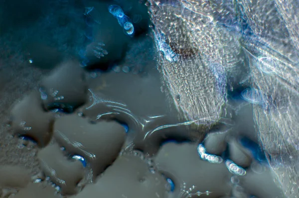 Gliserin ve su ile deneyler