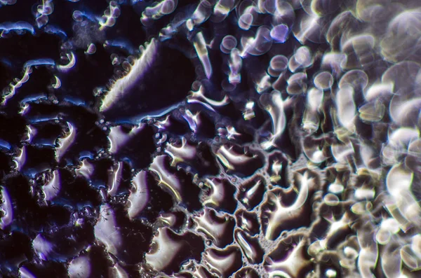 Gliserin ve su ile deneyler