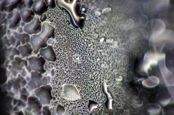 Gliserin ve su ile deneyler