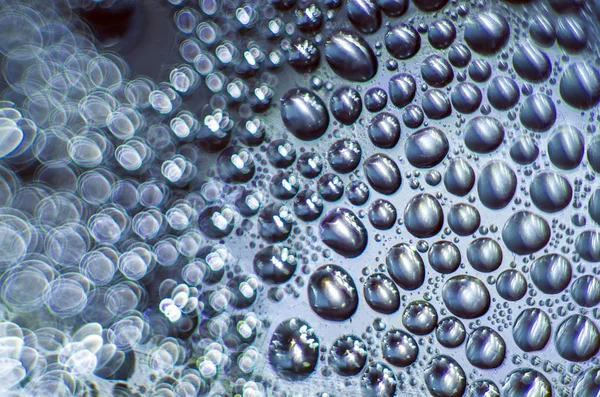 Gliserin ve su ile deneyler