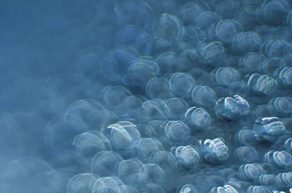 Gliserin ve su ile deneyler