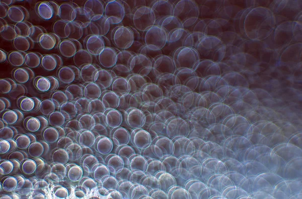 Gliserin ve su ile deneyler