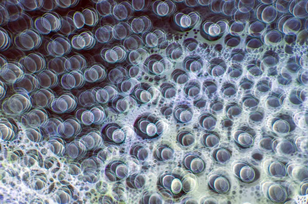 Gliserin ve su ile deneyler