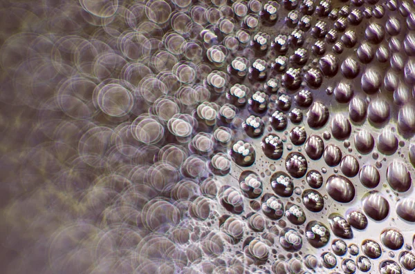 Gliserin ve su ile deneyler