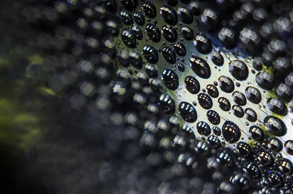 Gliserin ve su ile deneyler