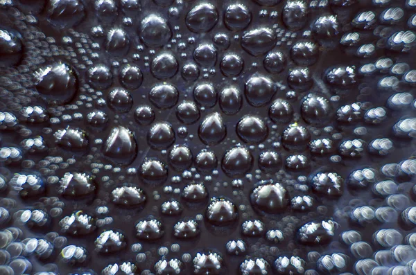 Gliserin ve su ile deneyler