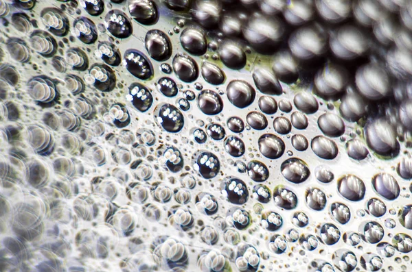 Gliserin ve su ile deneyler