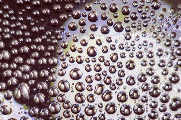 Gliserin ve su ile deneyler