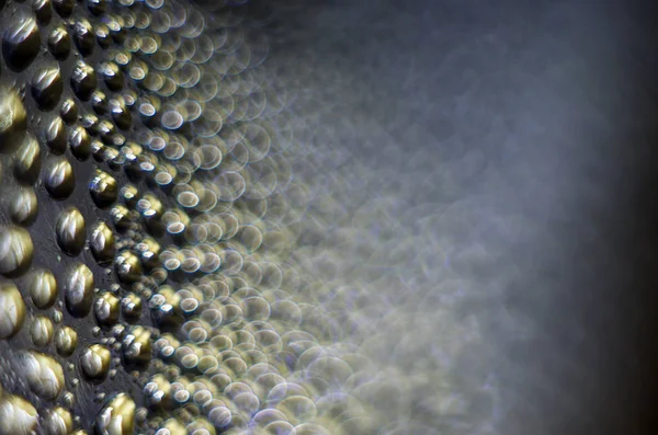 Gliserin ve su ile deneyler