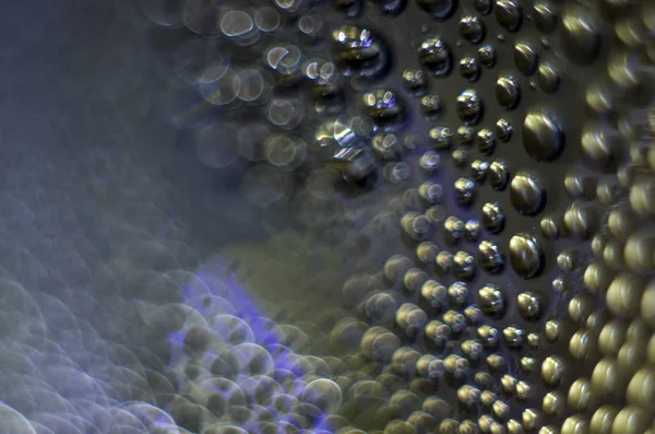 Gliserin ve su ile deneyler