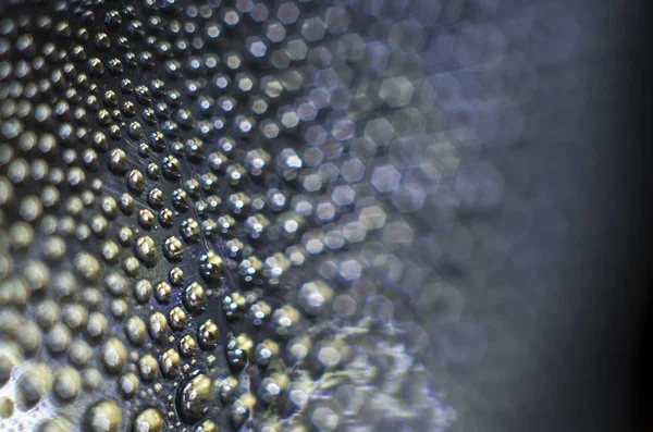 Gliserin ve su ile deneyler