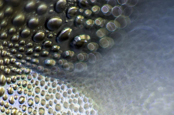 Gliserin ve su ile deneyler